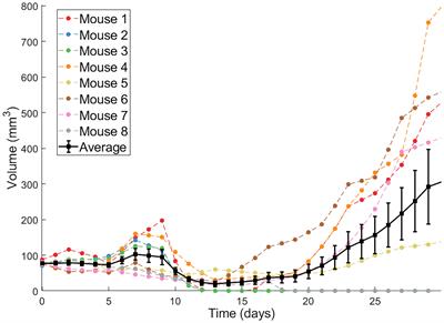 From Fitting the Average to Fitting the Individual: A Cautionary Tale for Mathematical Modelers